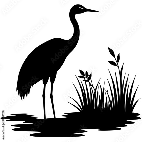 heron on the water