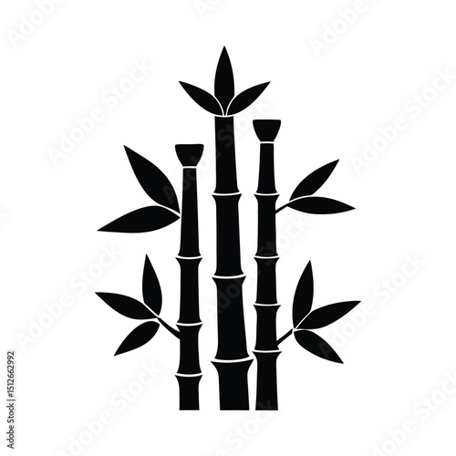 Bamboo plant stems and leaves silhouette on white background
