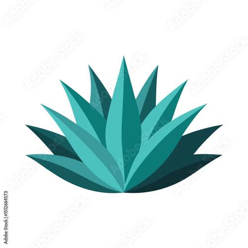Agave succulent plant vector on white background