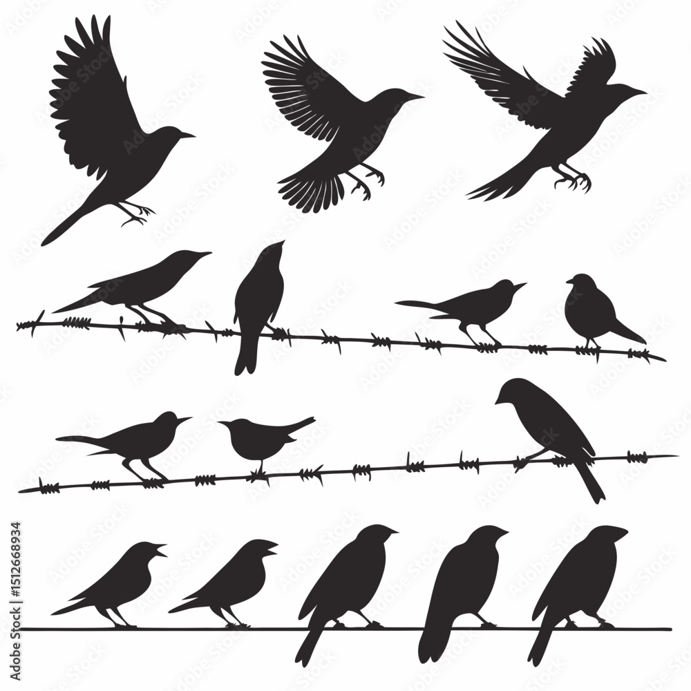 Fototapeta premium Bird Vector 