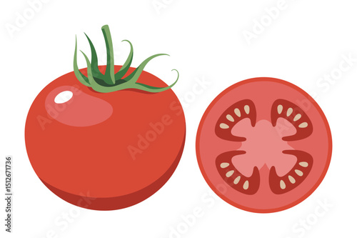 Fresh Red Tomato Whole and Sliced Vector Illustration
