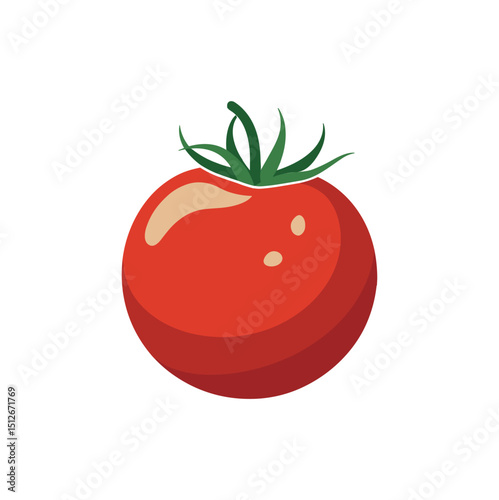 Fresh Red Tomato Whole and Sliced Vector Illustration