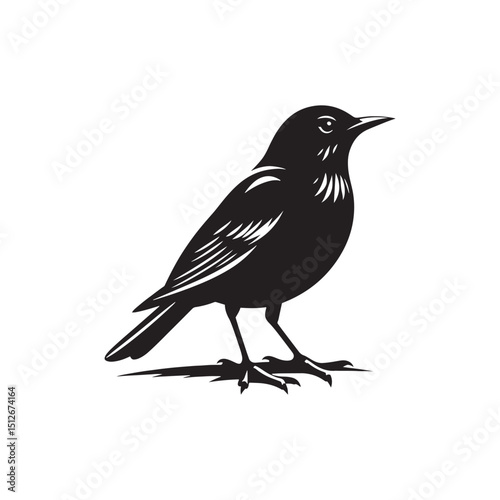 **"Elegant Common Blackbird Vector Silhouette: Classic Songbird Design Featuring Sleek Profile, Upright Posture, and Distinctive Beak in Clean, Minimalist Style for Crafts and Digital Art"**
