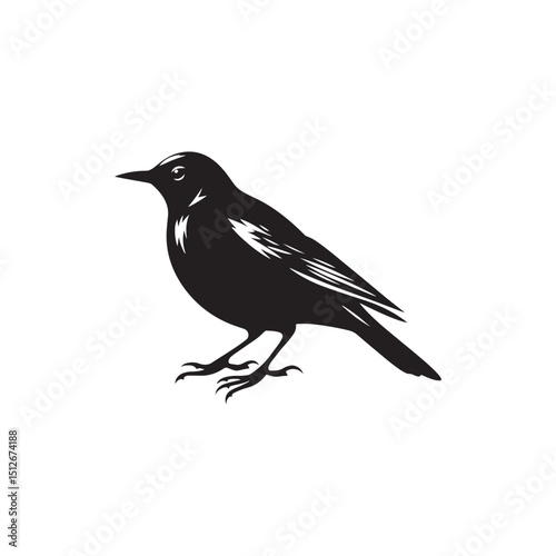 **"Elegant Common Blackbird Vector Silhouette: Classic Songbird Design Featuring Sleek Profile, Upright Posture, and Distinctive Beak in Clean, Minimalist Style for Crafts and Digital Art"**
