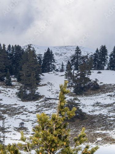 Images from Keltepe ski resort, located in Karabuk,Turkey.