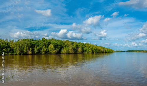 The lush mangrove forests of the Adelaide river banks downstream from its source in Lichtfield National Park, Lichtfield , Northern territory, Australia