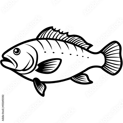Goliath Grouper Vector on White