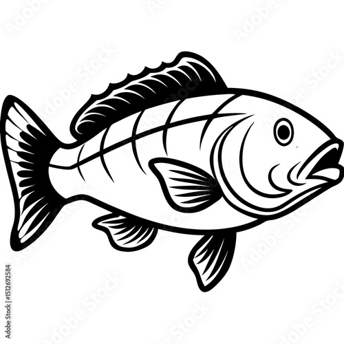 Goliath Grouper Vector on White