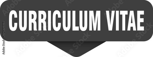 curriculum vitae sticker. curriculum vitae sign on transparent background