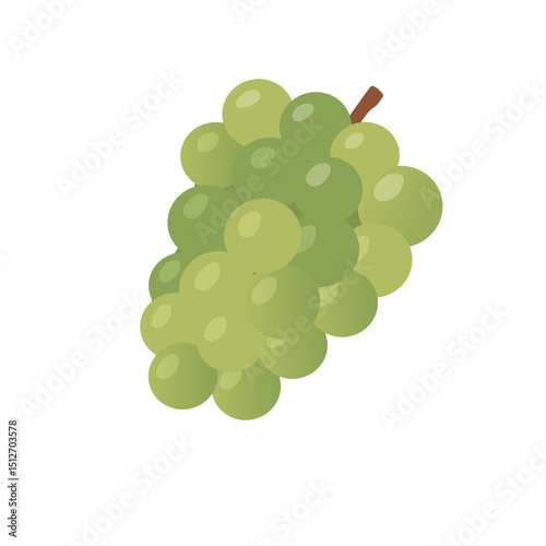 Vector Illustration of Fresh Green Grape Bunch with Stem and Shiny Round Juicy Berries Isolated on White Background