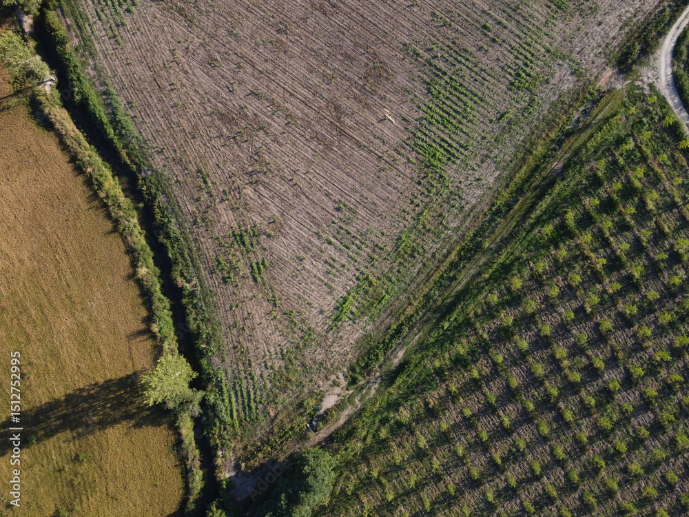 custom made wallpaper toronto digitalA vertical drone shot over Parco Ticino reveals a striking contrast between the precise geometry of Po Valley farmland and the organic flow of rivers and wild vegetation