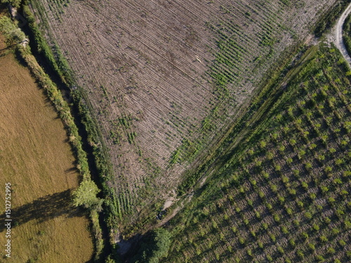 A vertical drone shot over Parco Ticino reveals a striking contrast between the precise geometry of Po Valley farmland and the organic flow of rivers and wild vegetation