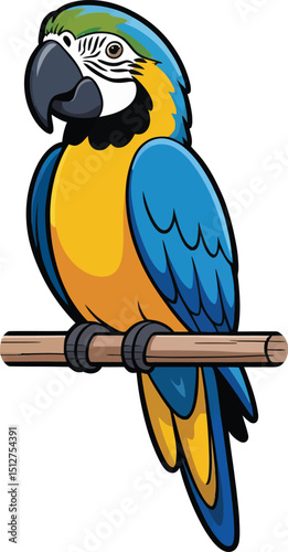 Cute cartoon a illustrator vector Macaw