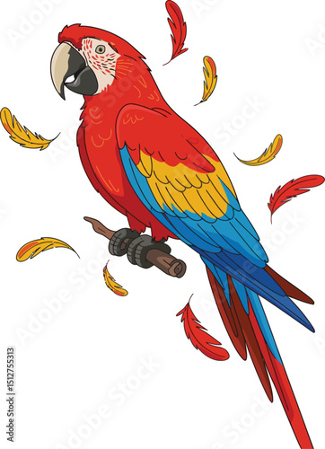 Cute cartoon a illustrator vector Macaw