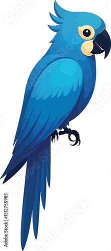 Cute cartoon a illustrator vector Macaw