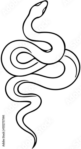 black snake vector illustration