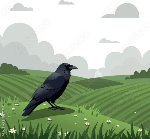 Black crow bird standing on green grass field with rolling hills and cloudy sky vector illustration 