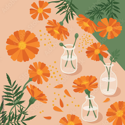 Orange marigold flowers with green leaves and glass vases floral decoration vector illustration 