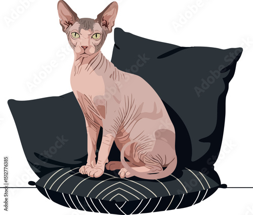 Sphynx cat sitting on black pillows with striped cushion vector illustration 