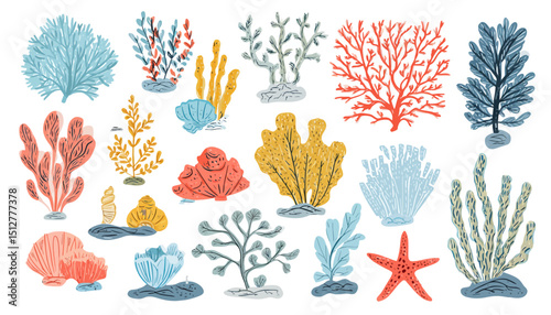 Vibrant Set of Hand-Drawn Coral and Seaweed Illustrations