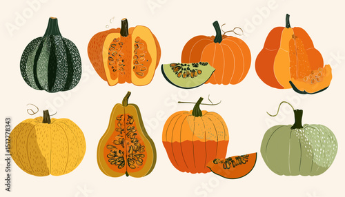 Hand-Drawn Pumpkin Illustrations Autumn Harvest Collection
