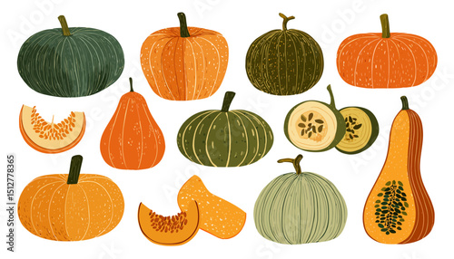 Hand-Drawn Pumpkin Illustrations Set of Autumn Squash Varieties
