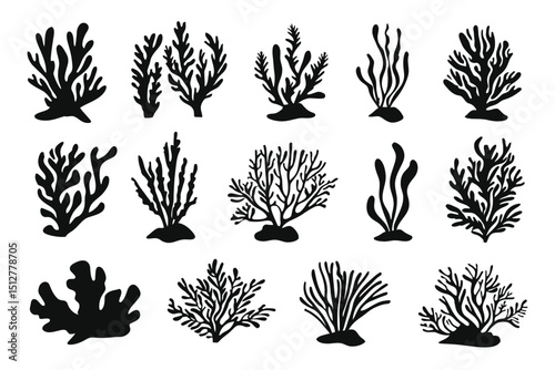 Sea Coral and Seaweed Silhouettes A Collection of 16 Vector Illustrations