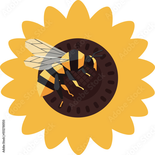 Bee collecting nectar on yellow sunflower vector illustration with natural colors and detailed wings 