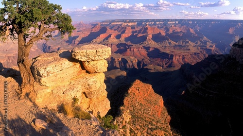 A scenic vista of vast canyon landscapes with a lone tree
