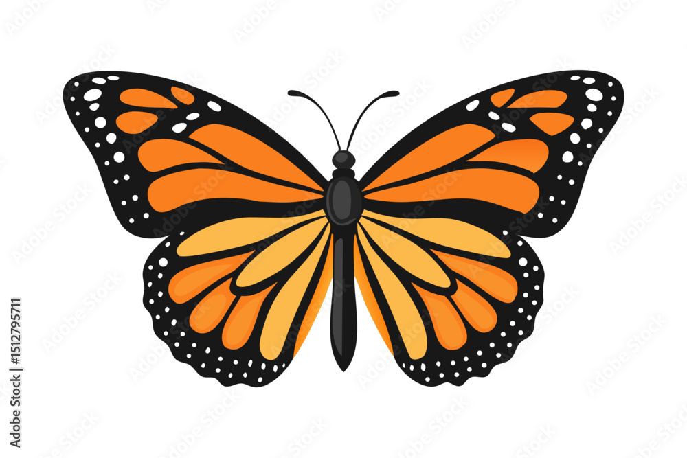 Obraz premium butterfly 