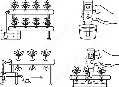 Set of Hydroponic Plantation System