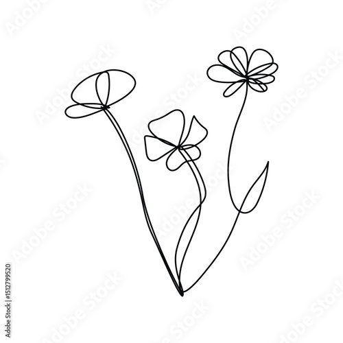 Flower drawing mono Poppies flower Continuous single line art