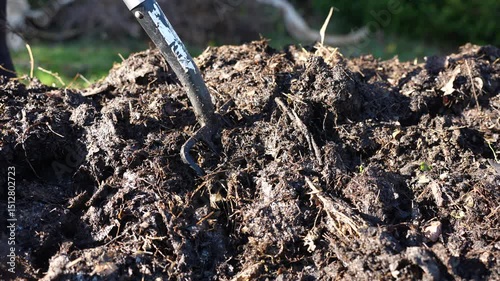 turning a compost pile in a community garden. compost full of microorganisms. sustainable regenerative agriculture with a soil sample
