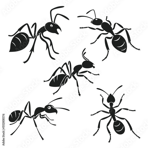a group of ant icon set isolated on white background.