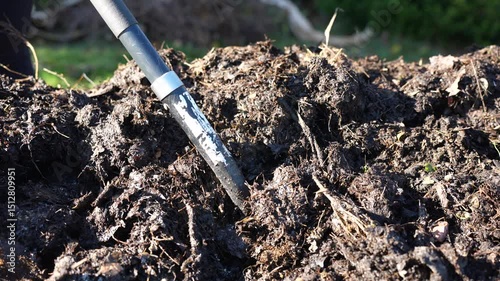 Wallpaper Mural turning a compost pile in a community garden. compost full of microorganisms. sustainable regenerative agriculture with a soil sample Torontodigital.ca