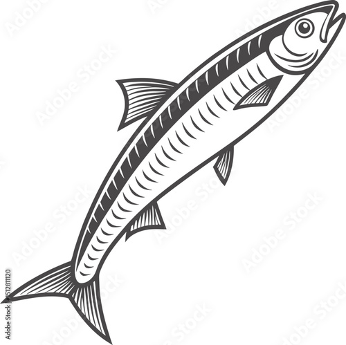 Elegant Anchovy Sea Fish Vector Illustration with Streamlined Body and Classic Black and White Design - Ideal for Marine and Ocean-Themed Projects
