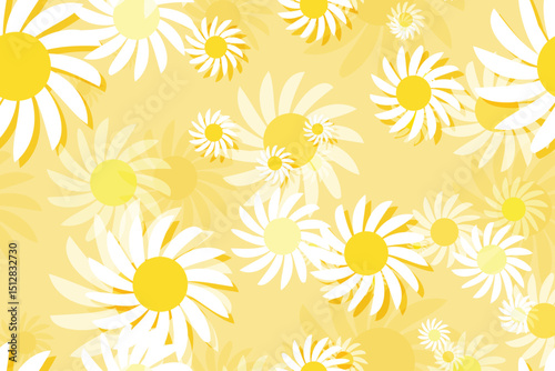Seamless summer floral pattern with blooming chamomile and daisy flowers