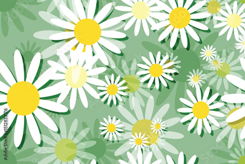 Seamless floral pattern with White daisy camomiles, perfect for spring and summer nature-inspired designs Green Background