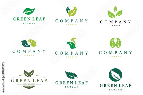 Leaf logo design template simple silhouette illustration plant leaf vector for business branding