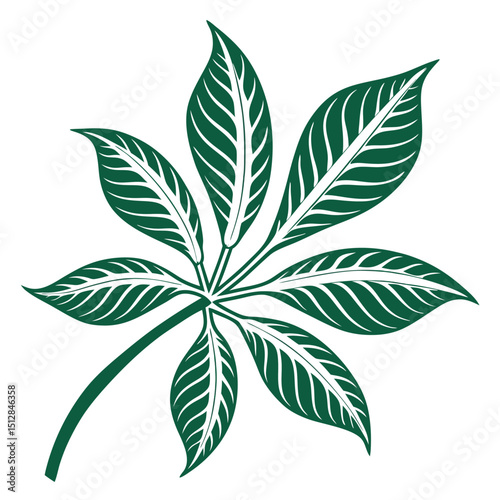 cannabis leaf vector
