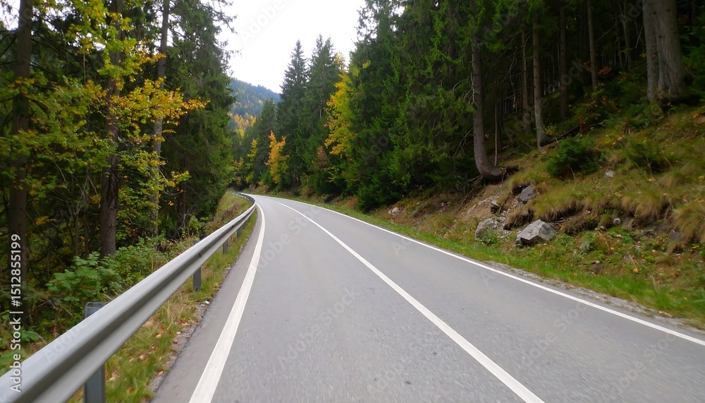 Naklejka premium Winding road through autumn forest