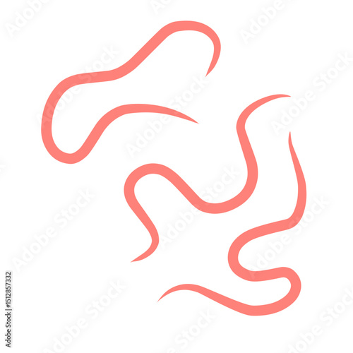 intestinal parasitic worms