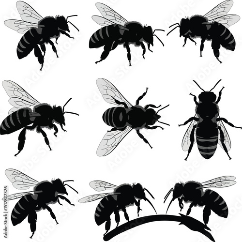 silhouette of bees flies insects on isolated 