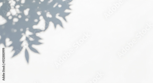 Shadow of leafy branches projected onto a white surface. The shadow is on the left side of the image, featuring intricate patterns of leaves, while the right side remains mostly empty and plain.