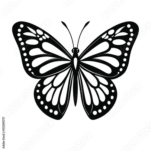 butterfly vector illustration