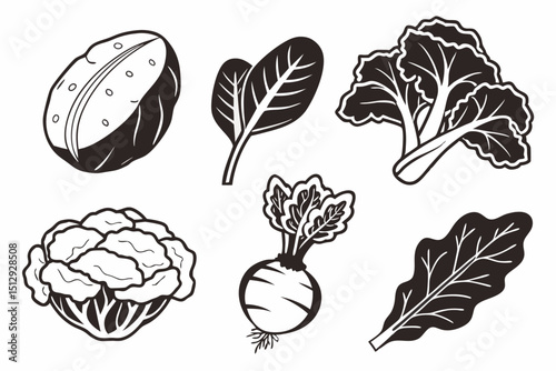 a-set-of-8-icons-focusing-on-potato--lettuce--spin (2)