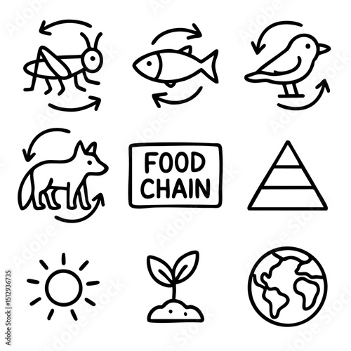 A set of doodle line icons representing the food chain, energy pyramid, natural cycles, and elements of ecosystem balance for educational use