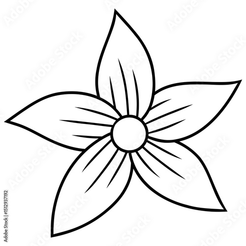 vector illustration of a star flower blossom