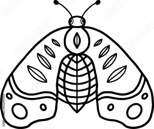 handrawing butterfly outline 