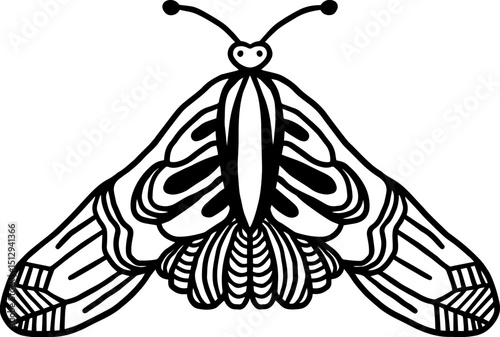 handrawing butterfly outline 